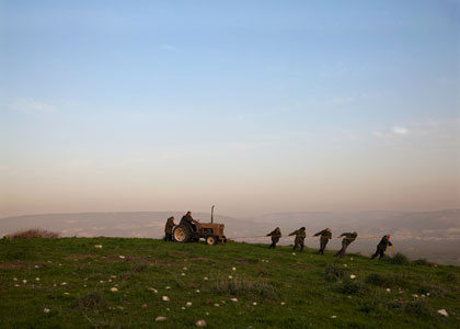 התערוכה החקלאית