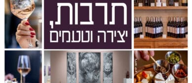 אמנות ויין: סיור המשלב חוויית טעימות יין ביקב וביקור במוזיאון